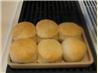 Sourdough Angel Biscuits