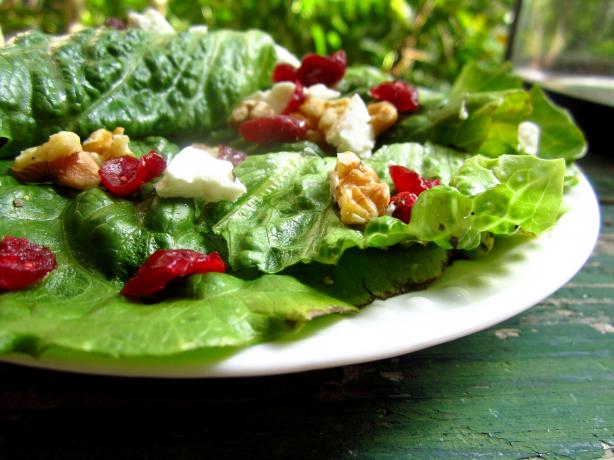 Spring Mix With Walnuts, Cranberries and Goat Cheese. Photo by gailanng