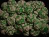 Lemon Snowflake Cookies