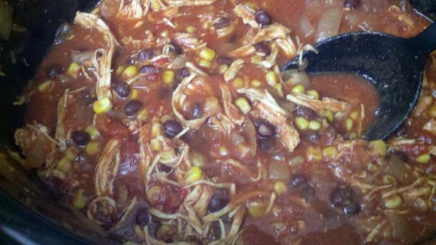 Crock-Pot Southern Living Style Tortilla Soup. Photo by bukgrl