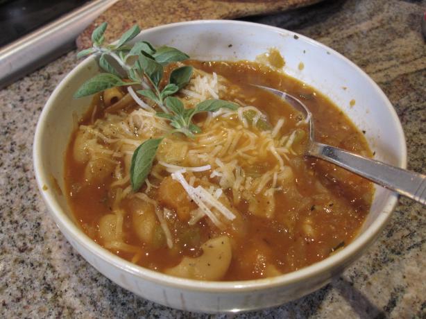 Garden Vegetable Soup. Photo by CaliforniaJan