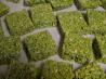 St. Patrick's Day Rice Krispie Treats. Recipe by NELady