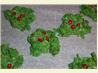 Christmas Holly Wreath Clusters