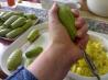 Cousa Mashi - Arabic Stuffed Zucchini