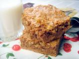 Brownies Fudgy Style