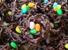 Easter Egg Nests