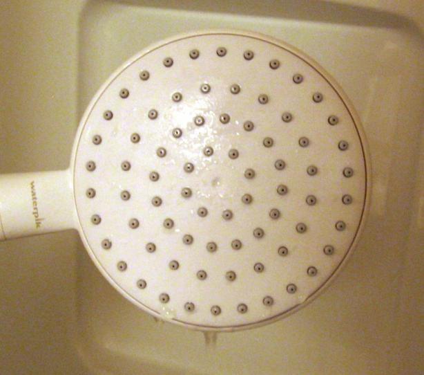 Shower Head Cleaner. Photo by Dreamer in Ontario