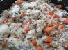 Chicken Carrot Pilaf