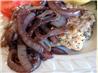 Sage Turkey Cutlets (Salbeischnitzel). Recipe by HeatherFeather