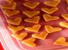 Microwave Caramels