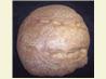 Sourdough Rosemary Bread