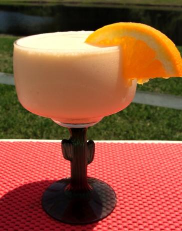 Adult Orange Dreamsicle. Photo by diner524