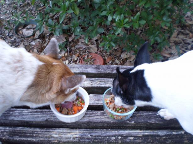 Kona K's Beef & Veggie Dinner for Doggies. Photo by breezermom
