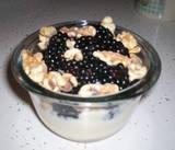 Honey Walnut Berry Yogurt. Photo by Debbwl