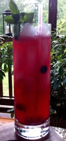 Blueberry Mint Madness Mojito. Photo by Bev