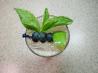 Blueberry Mint Madness Mojito
