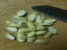 How to Blanch, Split, & Sliver Almonds