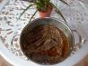 Zinfandel-Braised Beef Short Ribs