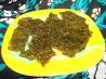 Korean Nori Snacks