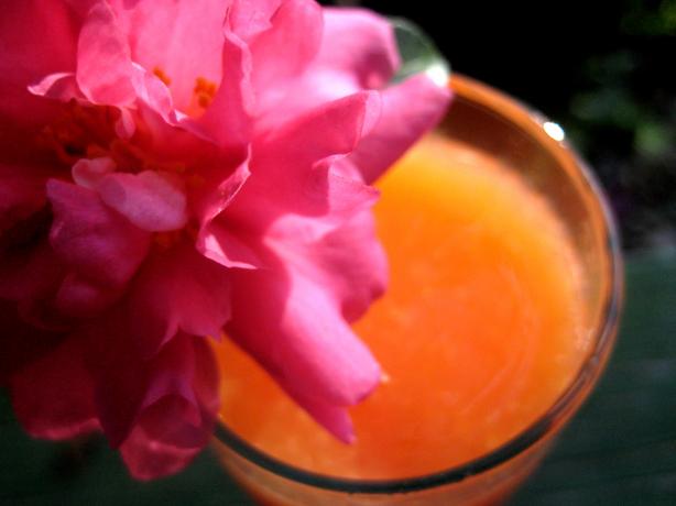 Tropical Sunrise (Virgin and Alcoholic). Photo by gailanng
