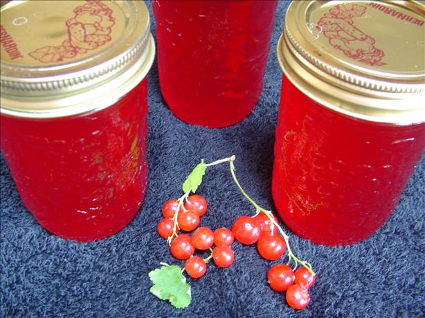Currant Jelly. Photo by CountryLady