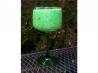 Kiwi Daiquiri