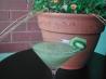 Kiwi Daiquiri