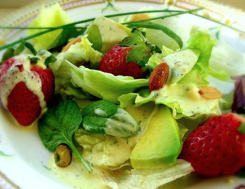 Turkey/Chicken Mixed Greens Salad With Kiwi and Strawberries in . Photo by Andi of Longmeadow Farm