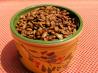 Santa Fe-Style Pumpkin Seeds (Pepitas) - 2 Ww Points