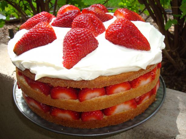 Strawberry Cream Cake. Photo by Pismo