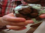 Chocolate-Mint Chip Ice Cream Sandwiches
