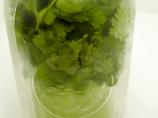 Cilantro -- Proper Storage. Photo by FolkDiva