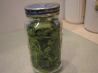 Cilantro -- Proper Storage