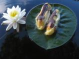 Eclairs. Photo by Scarlett516