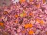 Pineapple Cole Slaw. Recipe by Scarlett516