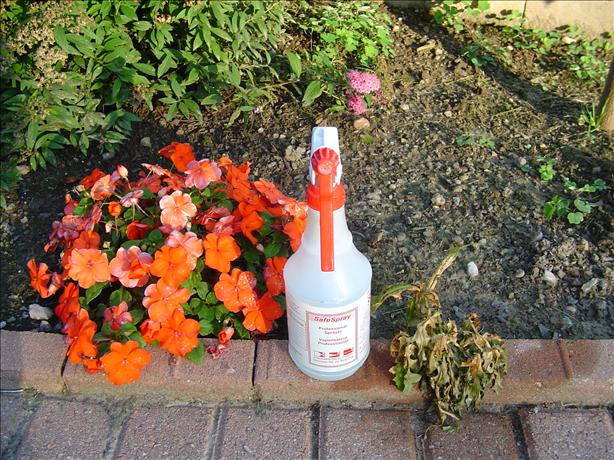 Organic Weed Killer. Photo by CountryLady