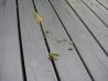 Organic Weed Killer. Recipe by Bergy