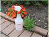 Organic Weed Killer
