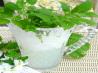 Old-Fashioned Lemon Balm Lemonade