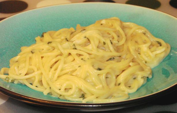 Penne With Creamy Garlic Sauce. Photo by Boomette
