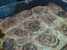 Cinnabon-Ish Cinnamon Rolls (Gluten-Free)