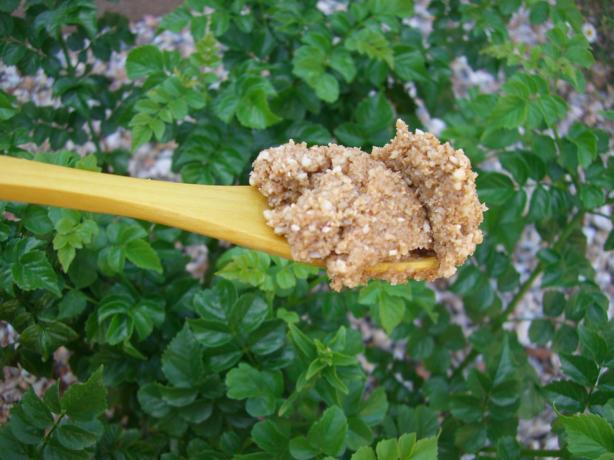 Basic Homemade Tahini. Photo by Spongebob Chefpants
