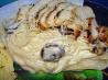 Mushroom Chicken Alfredo