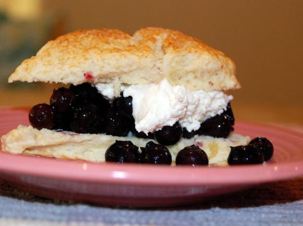 Gingered Blueberry Shortcake. Photo by appleydapply