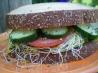 Veggie Sandwiches A.k.a. Veggimiches