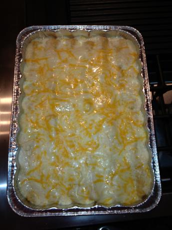 Spicy Sour Cream  Chicken Enchiladas. Photo by Carol's Mistletoe Kitchen