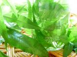 Lemon Verbena Iced Tea