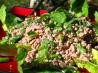 Larb Chicken