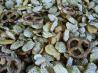 Ultimate Snack Mix. Recipe by tcourto