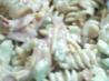 She Sells Sea Shells Pasta Salad for Kids!!. Recipe by westtextazzy